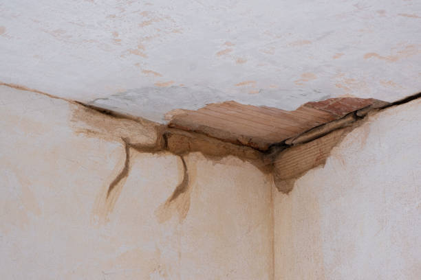 Best Ceiling water damage repair  in Pembroke, VA