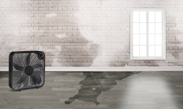 Best Water damage restoration near me  in Pembroke, VA