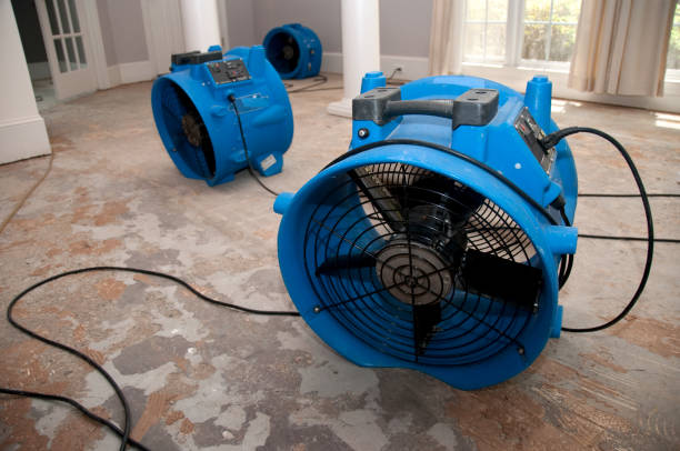 Best Basement water damage restoration  in Pembroke, VA