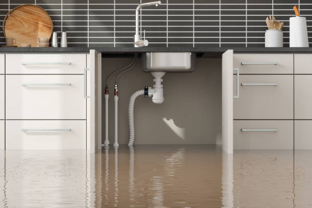 Best Professional water damage repair  in Pembroke, VA