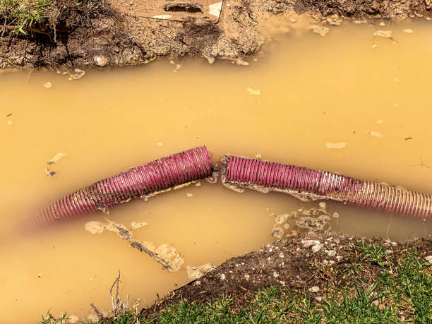 Best Professional water damage repair  in Pembroke, VA